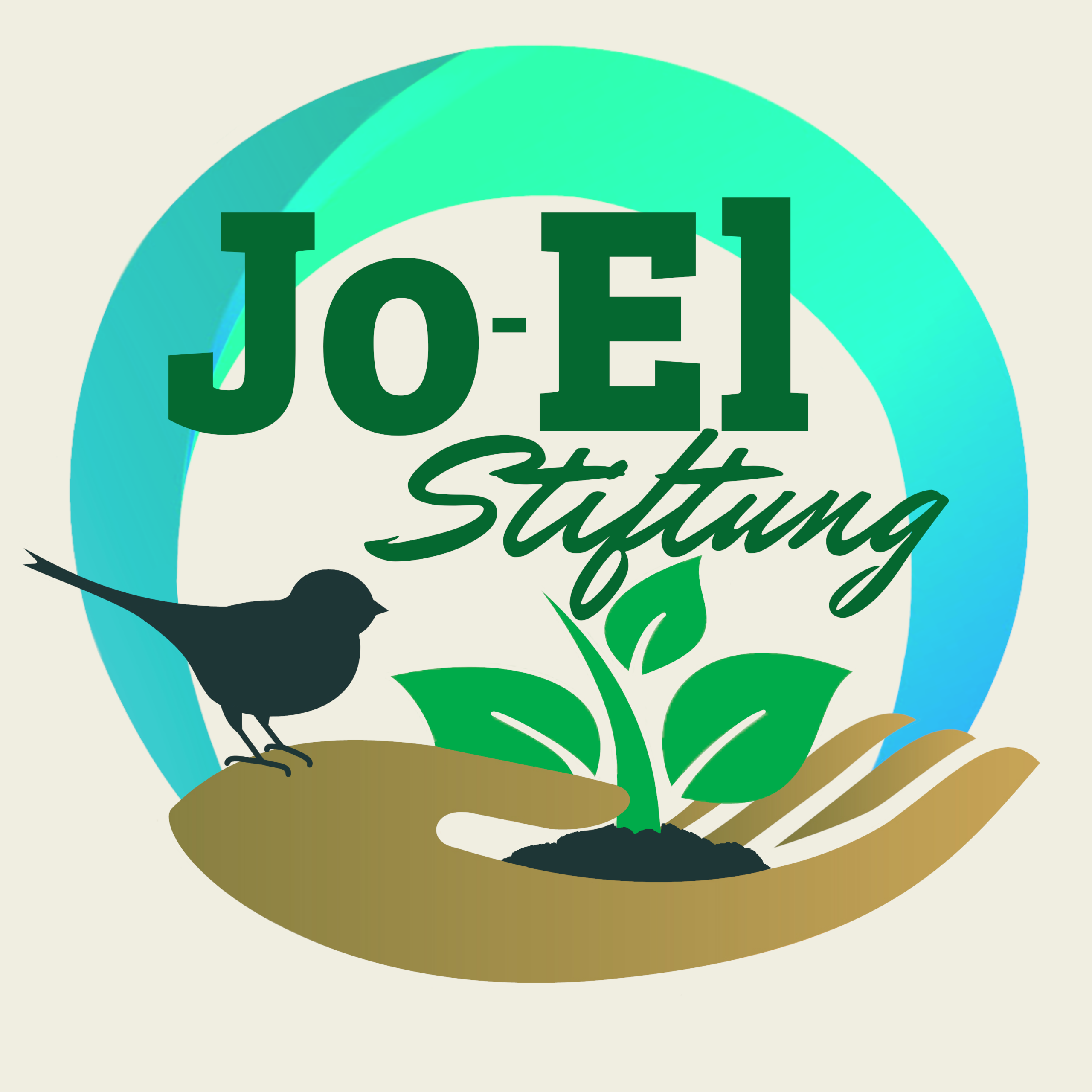 JoEl Foundation Logo